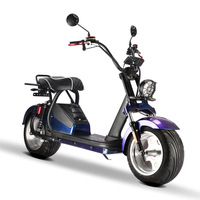 En Venta: Motocicleta Eléctrica de Dos Ruedas Estilo Harley de Alta Velocidad, Motor de 2000W y 60V, Apta para Adultos, Viajes al Aire Libre y Desplazamientos Diarios