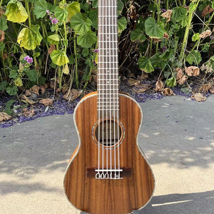 <span class=keywords><strong>Ukelele</strong></span> de la Marca <span class=keywords><strong>Aiersi</strong></span> de 28 Pulgadas, Tamaño Pequeño, Cuerpo de Koa, Guitarra Portátil de Viaje, Mini Guitarra Hawaiana de 6 Cuerdas, <span class=keywords><strong>Ukelele</strong></span> en Venta - Product Image 1