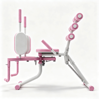 Station d'entraînement abdominale tout-en-un professionnelle avec cadre en fer, banc de musculation réglable et rack de pression pour un entraînement complet du corps