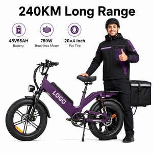 Bicicleta Eléctrica con Batería de 48V 55Ah, 240km de Autonomía, 750W, 80Nm de Torque, Neumáticos Anchos, para Entregas de Larga Distancia - Product Image 1