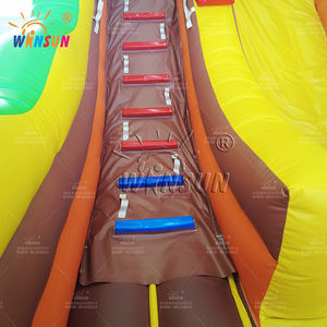 WINSUN Outdoor Large Kids Monster Inflatable Dry Slide with PVC Material for Sports Park & Garden Use - Product Image 6