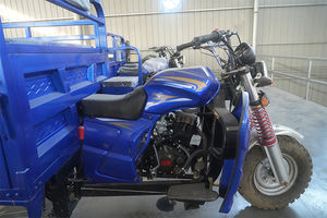 Nouvelle Moto Tricycle à <span class=keywords><strong>Essence</strong></span> à Trois Roues de 200cc, la Plus Puissante, Fabriquée en Chine - Product Image 5