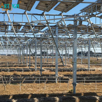 Support de montage au sol solaire agricole en acier galvanisé à chaud ARTSIGN, résistant à la rouille, système de support photovoltaïque agricole réglable