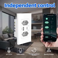 Brésil pour Tuya Smart Socket Switch USB Type A10A 240V Max. Prend en charge les assistants vocaux de contrôle d'application Smartlife (Google Home Alexa)