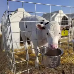 सफेद पशु पिंजरा सुरक्षित और टिकाऊ खाद्य ग्रेड प्लास्टिक पशु पिंजरे गाय