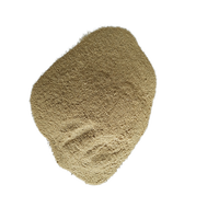 Bacillus Subtilis Qualité Alimentaire Acides Aminés 20 Milliards UFC/g Poudre Jaune Clair