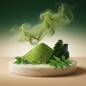 Fabricant en gros d'extrait de neem en poudre, fournisseur en vrac d'extrait de feuilles de neem - Product Image 1