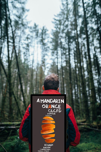 Tabellone per le affissioni di pubblicità dell'esposizione Lcd del tabellone per le affissioni di pubblicità dello zaino dell'affissione a cristalli liquidi portatile a 32 pollici di prezzi economici con controllo Mobile - Product Image 5