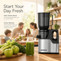 Whisper Quiet Slow Juicer 15cm Volledige Fruitopening DC Motor Onder 80dB RVS Gaas Makkelijk Reinigbaar Koudpers Sapcentrifuge
