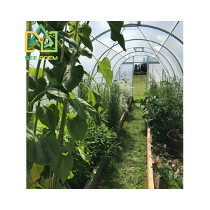 Tunnelhouse de Style néo-zélandais pour abri de plantes d'arrière-cour serre maison jardin Mini Kits de maison verte couverture avec Film plastique - Product Image 4