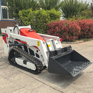 Skid صغيرة رخيصة جديدة V1000 للبيع معدات قوية لبناء المناظر الطبيعية شحن مجاني - Product Image 3