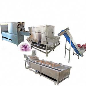 Motor de componentes principales y PLC-Maquinaria de procesamiento de cebolla Línea de producción eficiente de máquina peladora de raíces para procesamiento de cebolla - Product Image 4