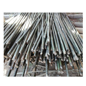 Postes de bambú, suministro de los mejores - Product Image 1
