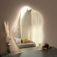 Miroir de douche désembueur irrégulier Miroir de salle de bain à LED pour la maison/hôtel