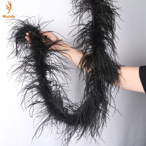 Boa en plumes d'autruche colorées, 2 verges, 1 à 5 plis, lot en vrac pour vêtements DIY et présentoirs de vitrine de fêtes - Product Image 5