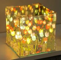 Décoration de chambre créative, lampe de nuit à miroir tulipe infini, lampe tulipe DIY faite à la main, lampe fleur tulipe carrée magique artificielle