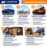 Envío Marítimo Exprés Internacional China UE Reino Unido Amazon FBA Transitario de Carga Servicio de Almacenes Seguro DDP 30-45 Días LOADSTAR