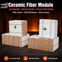 Module de fibres céramiques à faible densité de Chine, qualité standard pour isolation thermique des fours et des fours à combustion, avec ancrage, vente en gros OEM