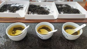 Muestra Gratis de Té Verde Moli Xianghao con Aroma a Jazmín, Origen Fujian, Té Saludable en Hojas Sueltas - Product Image 3