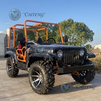Caiteng 200cc 250cc Mini Jeep à essence/électrique 2 places 4x4 Transmission automatique Garantie de 2 ans Buggy de plage Golf Tout-terrain