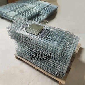 Cage de <span class=keywords><strong>piège</strong></span> <span class=keywords><strong>à</strong></span> animaux vivants humaine en treillis métallique bon marché d'usine pour lutte antiparasitaire renard chien <span class=keywords><strong>chat</strong></span> loup - Product Image 5