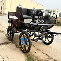 Haute qualité Nice Looking Horse Training Marathon Horse Cart Racing Pony Carriage