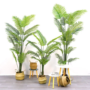 Golin Hot Bán Phượng cây cọ giả cây nhân tạo kentia carton nhựa lá thân thiện với môi trường 1.2-2.4m trong nhà/ngoài trời - Product Image 4