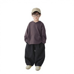 Sweat-shirt à capuche en pur coton pour garçons, couleur unie, pull-over style coréen, automne, pour enfants - Product Image 2