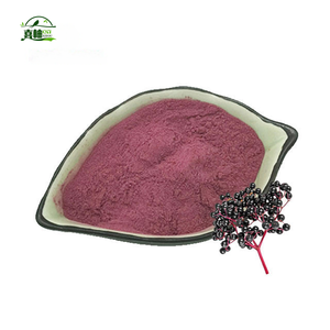 Высококачественный 100% органический экстракт черной бузины 25% антоцианов порошок - Product Image 5