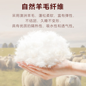 วัง ดาเชง ที่นอนขนม้า พ็อกเก็ตสปริง ความแน่นปานกลาง สำหรับใช้ในบ้าน - Product Image 5