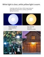 Lustre solaire LED étanche pour l'extérieur, éclairage de jardin pour hôtels et cours rurales, lampadaire solaire à induction