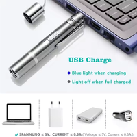 Di alta qualità USB ricaricabile puntatore di luce rossa giocattoli interattivi Chaser Laser penna gatto Teaser esercitatore giocattolo di formazione per gatti