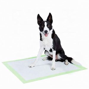 Tapis d'apprentissage de la propreté jetables pour chiots et chiens, à fond vert, haute absorption, anti-fuite - Product Image 2