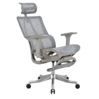 Chaise de visiteur de bureau moderne en tissu maillé respirant - Chaise de réception ergonomique extensible et réglable pour personnel, idéale pour l'école et la maison