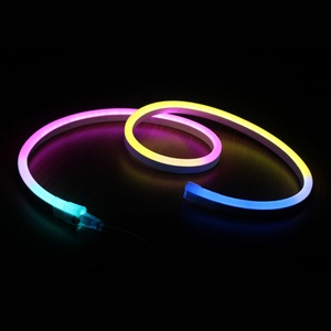 Tira de LED Digital de Neón Flexible de 24V, Luz Dinámica de Píxeles Móviles, Cuerpo de PVC, IP68, Aplicación en Paisajes, Cambio de Color Mágico, 14.4W, CE - Product Image 5