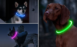 Kalung anjing silikon LED, lampu malam untuk anjing, Kalung keamanan anjing, lampu anak anjing bersinar bisa diisi ulang, kerah kucing - Product Image 3