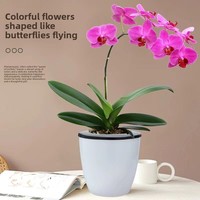 Bibit Anggrek Phalaenopsis Dendrobium Tanaman Hijau dalam Pot Kuncup Bunga-Pemurni Udara Perawatan Mudah untuk Ruang Tamu dan Ruangan Lainnya