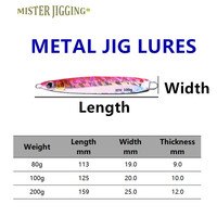 MISTER JIGGING Expédition rapide 24h 80g 100g Jig vertical lumineux à lancer lent, leurre métallique pour la pêche