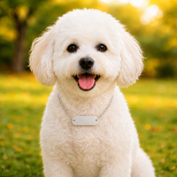 Vente en gros de médailles d'identification pour animaux de compagnie en aluminium coloré, ovales, vierges pour gravure laser, pour chiens et chats