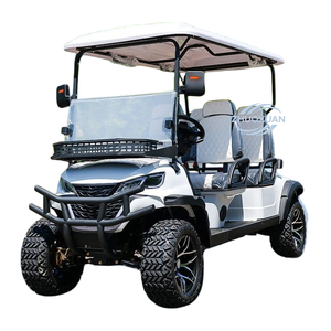 Voiturette de golf électrique de luxe classique homologuée pour la route pour complexe hôtelier - Product Image 6