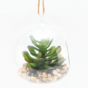 Appeso Globi di Vetro Terrario Sfere di Vetro Fioriera Grande Apertura di Aria Fern <span class=keywords><strong>Piante</strong></span> <span class=keywords><strong>Vaso</strong></span> di Fiori Artificiali di <span class=keywords><strong>piante</strong></span> <span class=keywords><strong>grasse</strong></span> - Product Image 4