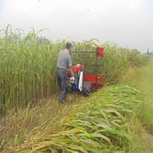 Diesel Mini granturco mietitrice <span class=keywords><strong>erba</strong></span> e <span class=keywords><strong>assenzio</strong></span>/colza/<span class=keywords><strong>erba</strong></span> medica con componenti di nucleo di ingranaggi per la raccolta del grano - Product Image 4