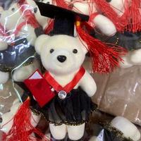 Ruunjoy Mini Ours en Peluche de Remise de Diplôme, Souvenir Décoratif, Jouet en Peluche pour Machine à Pinces, Porte-clés en Peluche Ours de Remise de Diplôme