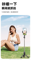 QQE Mini Selfie Stick - Support de téléphone portable pour de superbes photos - Trépied ultime pour appareils mobiles