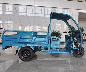 Tricycle semi-fermé pour adultes 1000W 48V pour usage urbain - Product Image 2