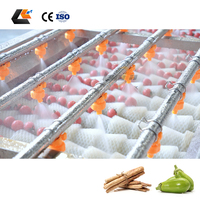 Laveuse à rouleaux parallèles SUS 304 pour carottes et oignons, machine de nettoyage pour légumes à racines