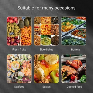 Congelador Vertical Profesional <span class=keywords><strong>para</strong></span> Cocina con Puerta de Cierre Automático, Almacenamiento de Alimentos Congelados <span class=keywords><strong>para</strong></span> <span class=keywords><strong>Restaurante</strong></span>, Precio de Fábrica - Product Image 6