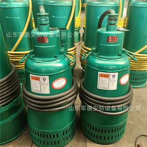 ปั๊มทรายใต้น้ำแบบป้องกันการระเบิดสำหรับงานเหมือง Bqs200-60-55kw กำลังไฟฟ้า 5 แรงม้า แบบแรงเหวี่ยง สำหรับอุตสาหกรรมเหมืองแร่ - Product Image 1