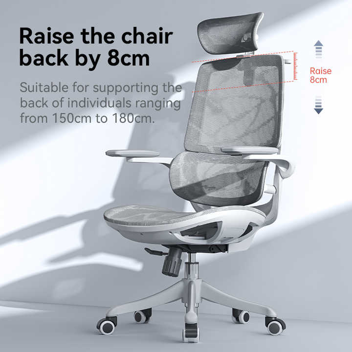 SIHOO M59AS Ergonomic Office Chair with 3D Adjustable Armrests