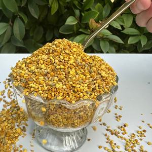 Granulés de <span class=keywords><strong>pollen</strong></span> <span class=keywords><strong>d</strong></span>'<span class=keywords><strong>abeille</strong></span> naturel multicolores, traités par irradiation - Product Image 4